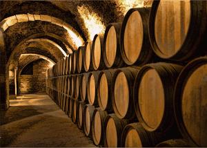 alley-of-barrels-at-the-winery-elaine-plesser